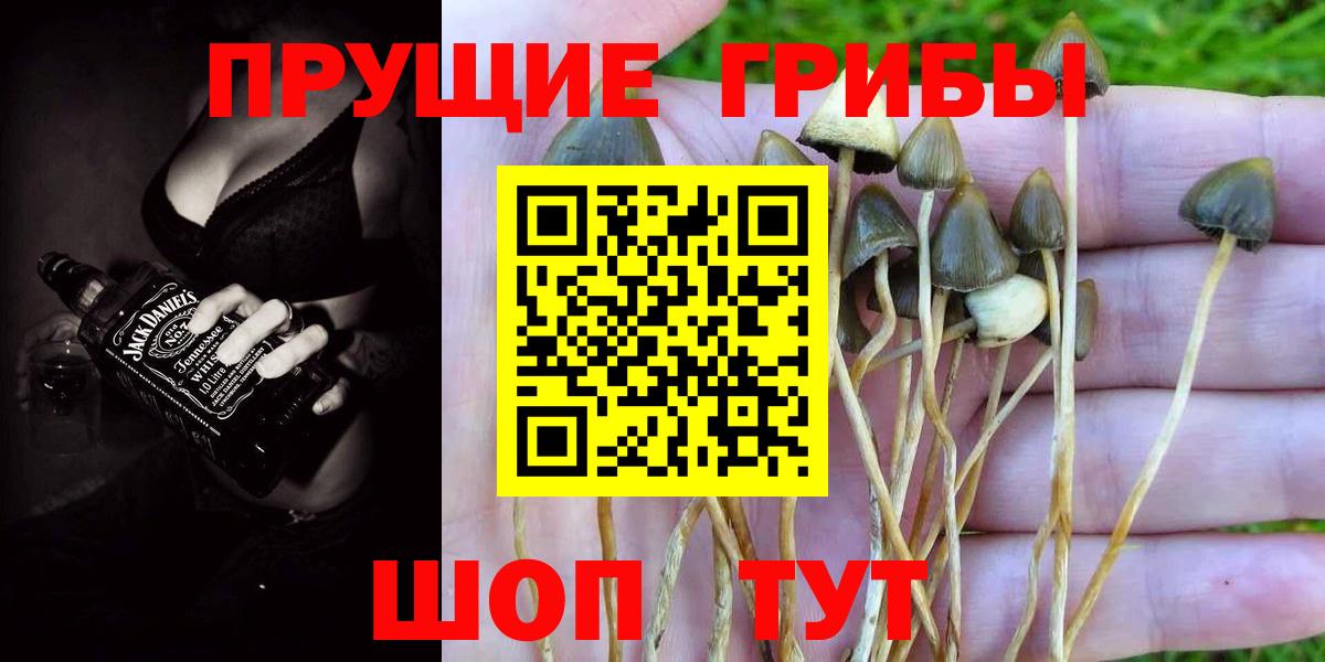 Псилоцибиновые грибы GOLDEN TEACHER Ивантеевка