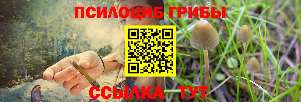 Галлюциногенные грибы мухоморы  Псилоцибиновые грибы прущие грибы  Ивантеевка  Вход с VPN 